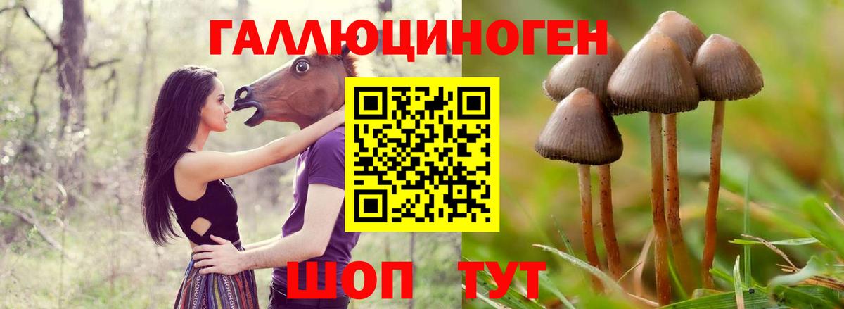 Галлюциногенные грибы Cubensis  Вход с VPN  Свободный 